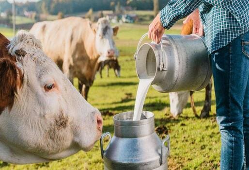 PRODUCCIÓN DE VACUNOS DE LECHE