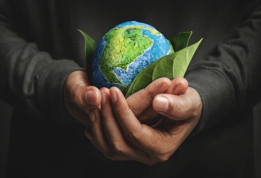 PROTECCION-medio-ambiente.jpg