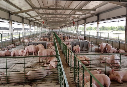 INSTALACIONES PARA LA CRIANZA ANIMAL