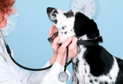 CONTROL DE ENFERMEDADES PARASITARIAS